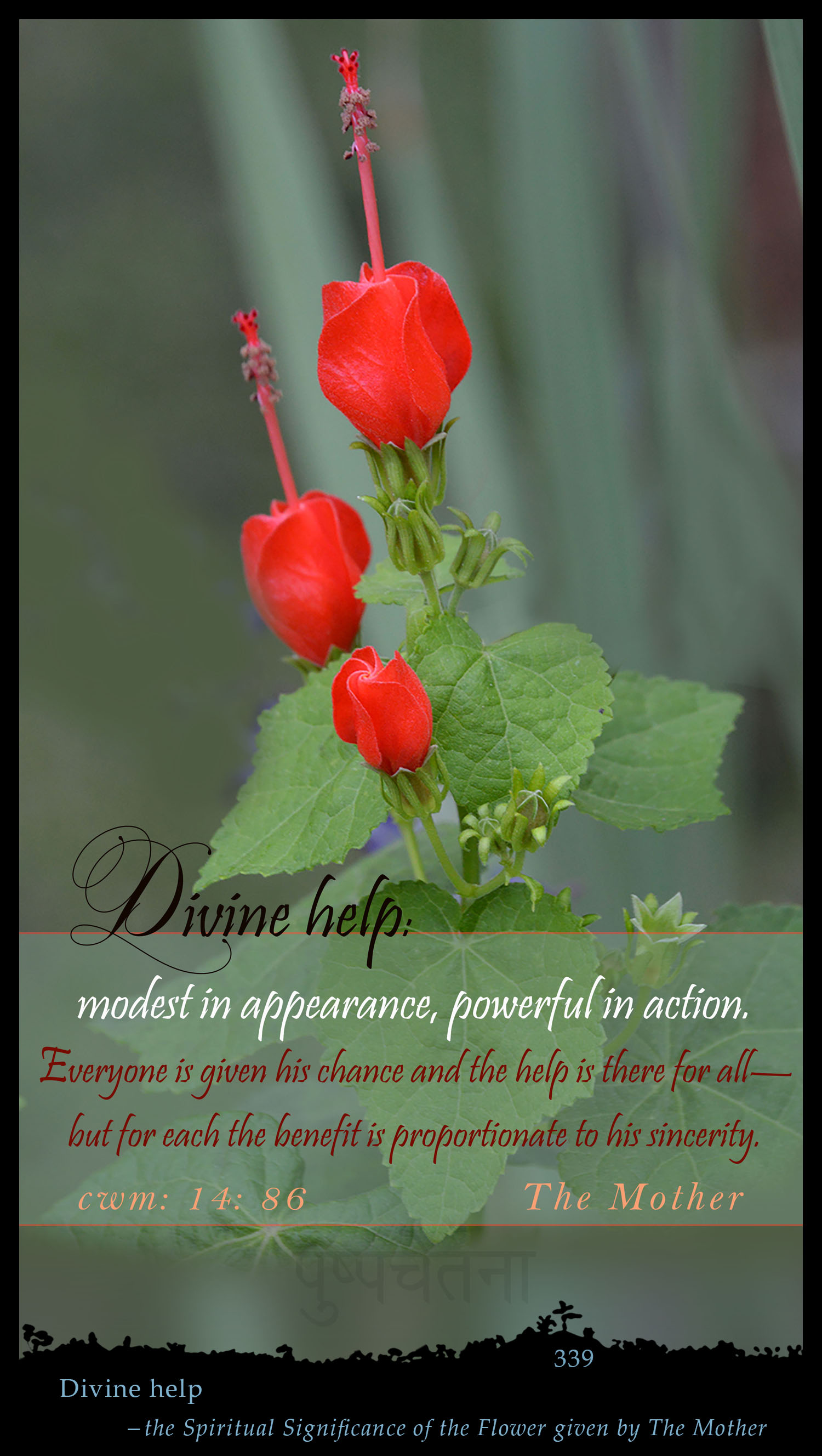 Divine Help
